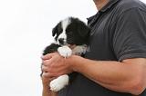 ADULTE ET CHIEN 046